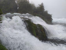 Erkundung von Heimerads Heimat Rheinfall, Radolfzell, Reichenau